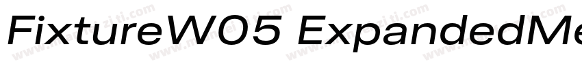 FixtureW05 ExpandedMedium Regular字体转换